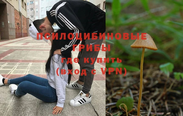 2c-b Лихославль