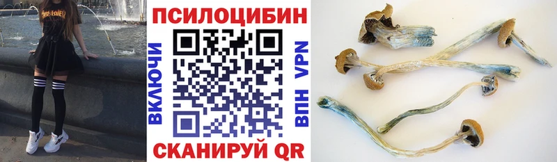 Псилоцибиновые грибы GOLDEN TEACHER  Купить где  Кудрово 
