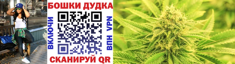Купить закладки  Кудрово  Марихуана OG Kush 